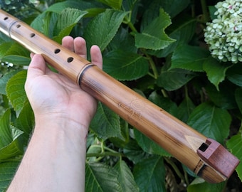 Low D Native American Style Bamboo Fipple Flute | Simple Intuitive flute with a Minor Pentatonic Scale | 5-hole Bamboo flute | Rui Gomes