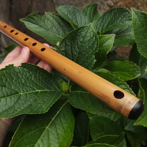 A Major Transverse Flute handmade out of Bamboo | 6-hole Concert pitched Flute | Folk and World Music | Gift for Musicians | Rui Gomes