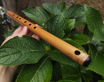 A Major Transverse Flute handmade out of Bamboo | 6-hole Concert pitched Flute | Folk and World Music | Gift for Musicians | Rui Gomes