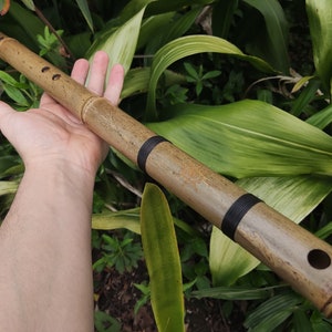 Akebono Bamboo Flute in the key of B, Deep Meditation Bamboo Flute with an Oriental Zen Buddhist inspired scale, Exotic Meditative flute