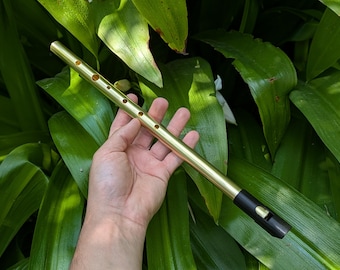 Bb major Brass Whistle | Handmade Tunable Tin Whistle | Sweet sound 6-hole whistle for Irish Traditional Music | Metal Whistle | Rui Gomes