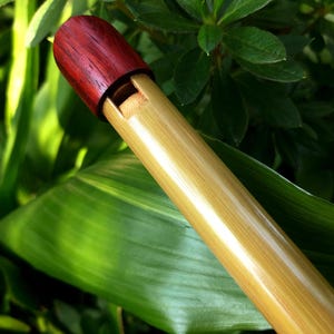 High D Tin Whistle, handgefertigt aus Bambus und Padauk | Sopranpfeife im irischen Stil in Konzertqualität | Flöte für Kinder | Geschenk für Musiker