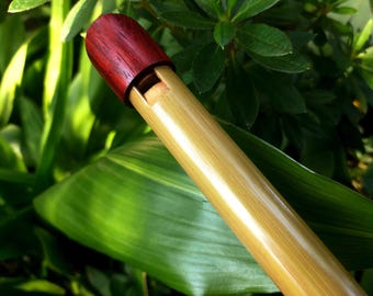 High D Tin Whistle handmade out of Bamboo and Padauk | Concert quality Irish style Soprano Whistle| Flute for Children | Gift for musician