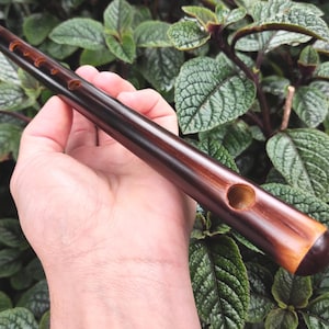Op de afbeelding: Een bruine houten fluit met zes vingergaten en een mondstuk. De fluit wordt in een hand gehouden tegen een achtergrond van groene bladeren.