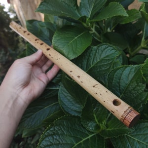 F Major Transverse Flute built in the Irish Style | Concert tuned Bamboo Flute with loud and vibrant tone | Concert Quality | Rui Gomes