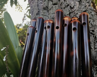 May include: A set of ten dark brown bamboo flutes with a natural wood finish. The flutes are arranged in a row, with the tops of the flutes aligned. The flutes have a hole in the side of each flute.