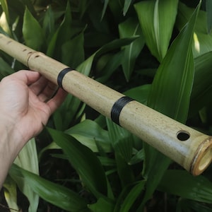 Handmade Raga Bhairavi Transverse bamboo flute in low D, tuned for meditation & sound healing. Handcrafted Indian Raga Flute | Rui Gomes|