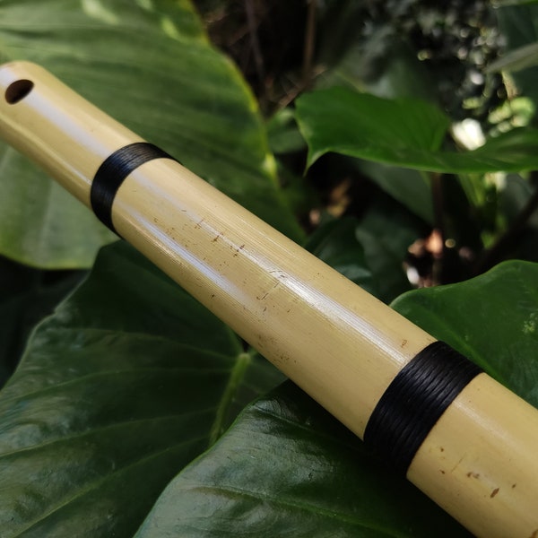 Small Transverse Bamboo flute Orientally Inspired | Same scale as the Japanese Shakuhachi | Zen inspired tool for Meditation | Rui Gomes