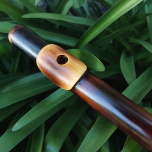 Può includere: Un flauto di legno con una macchia marrone scuro e un bocchino in legno naturale. Il flauto è sdraiato su un letto di foglie verdi.