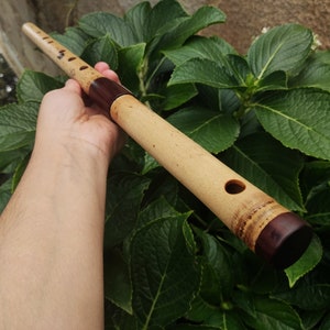 Low D Bamboo Transverse Flute, handmade Traverso in two pieces. Concert tuned flute, suitable for folk, irish and world music. Rui Gomes