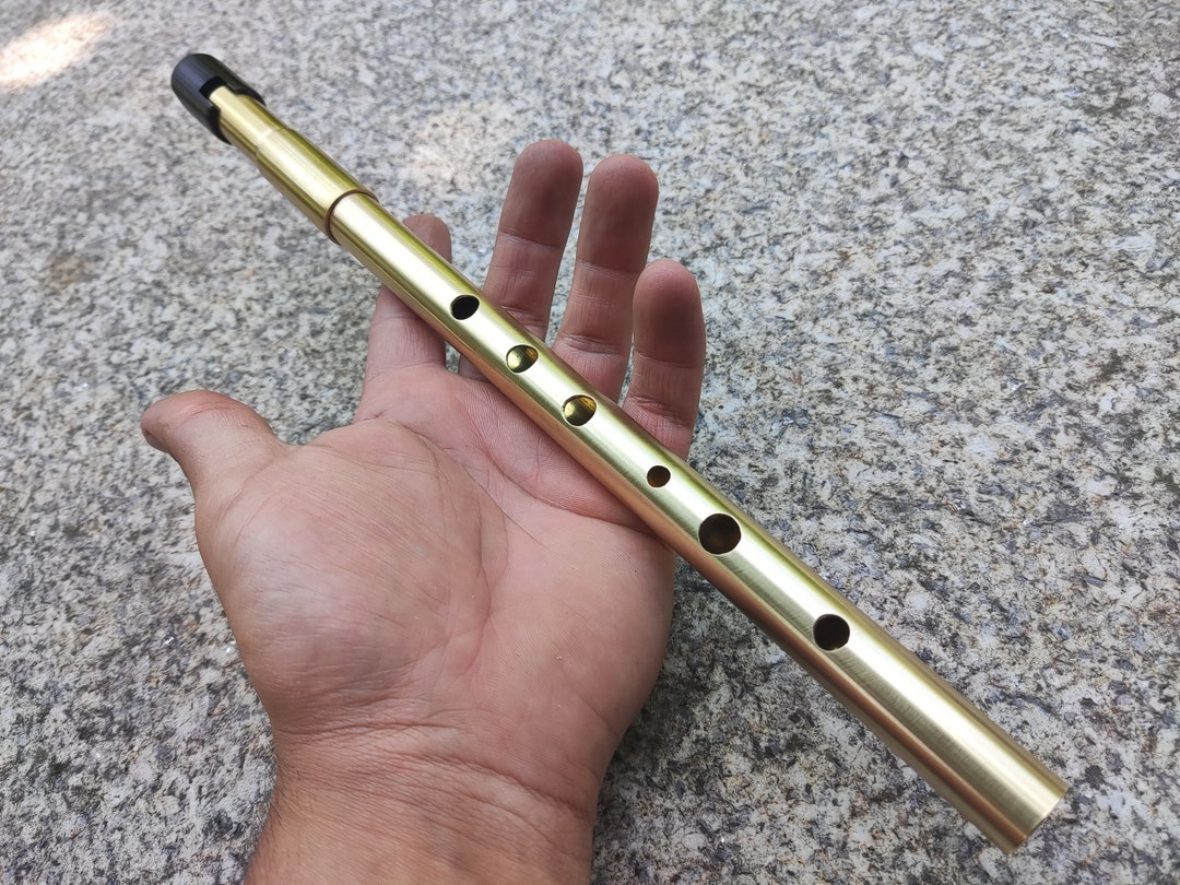 Penny Whistle in High Handmade Tunable Tin Whistle, for Irish