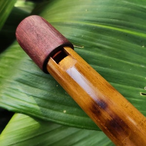 Op de afbeelding: Een houten fluit met een paarse mondstuk en een natuurlijke houten body. De fluit ligt op een groen blad.