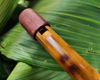 The Arabian Whistle! Handmade Whistle in A# with an Arabian scale.  Bamboo flute with an Intuitive Middle Eastern Scale for Sound Healing