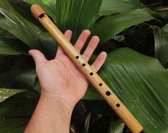 Tin Whistle in High C handmade out of Bamboo | Simple Wooden Recorder or Penny Whistle for World Music | Gift for musician | Rui Gomes