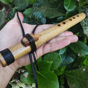 May include: A wooden flute with a black leather strap and a brown wooden mouthpiece. The flute has six holes and is held in a person's hand.
