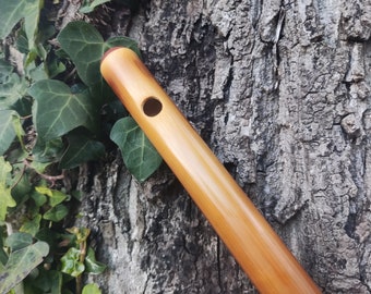 May include: A close-up of a wooden flute with a single hole near the top. The flute is light brown and has a smooth finish. The flute is resting against a tree trunk.