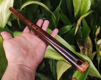 May include: A dark brown wooden flute with six finger holes and a mouthpiece. The flute is held in a hand against a green leafy background.