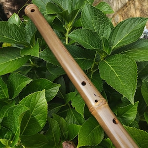 Flûte en bambou de style arabe Low D avec un look rustique et une échelle orientale, méditation profonde avec une sensation ethnique du Moyen-Orient dans le Hijaz kar