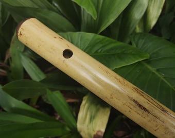 Low C major Flute, Handmade out of bamboo | Bansuri equivalent with a Deep, transporting voice | For Folk and world music | Rui Gomes