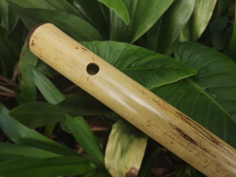 Custom Flute Instruments Leaves Low C Major Flute, Handmade Out of Bamboo | Bansuri Equivalent With a ...