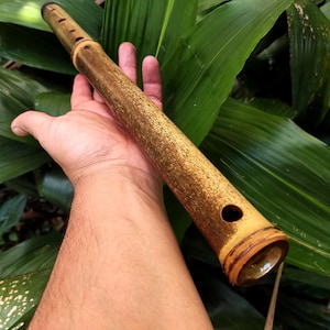 Asavari Raga Bamboo Transverse Flute in the Key of E for Meditation and Sound Healing | Oriental sounds | Gift for Musicians | Ceremony
