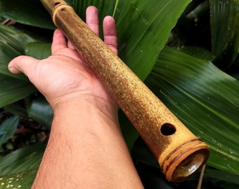 Asavari Raga Bamboo Transverse Flute in the Key of E for Meditation and Sound Journey | Oriental sounds | Gift for Musicians | Handmade