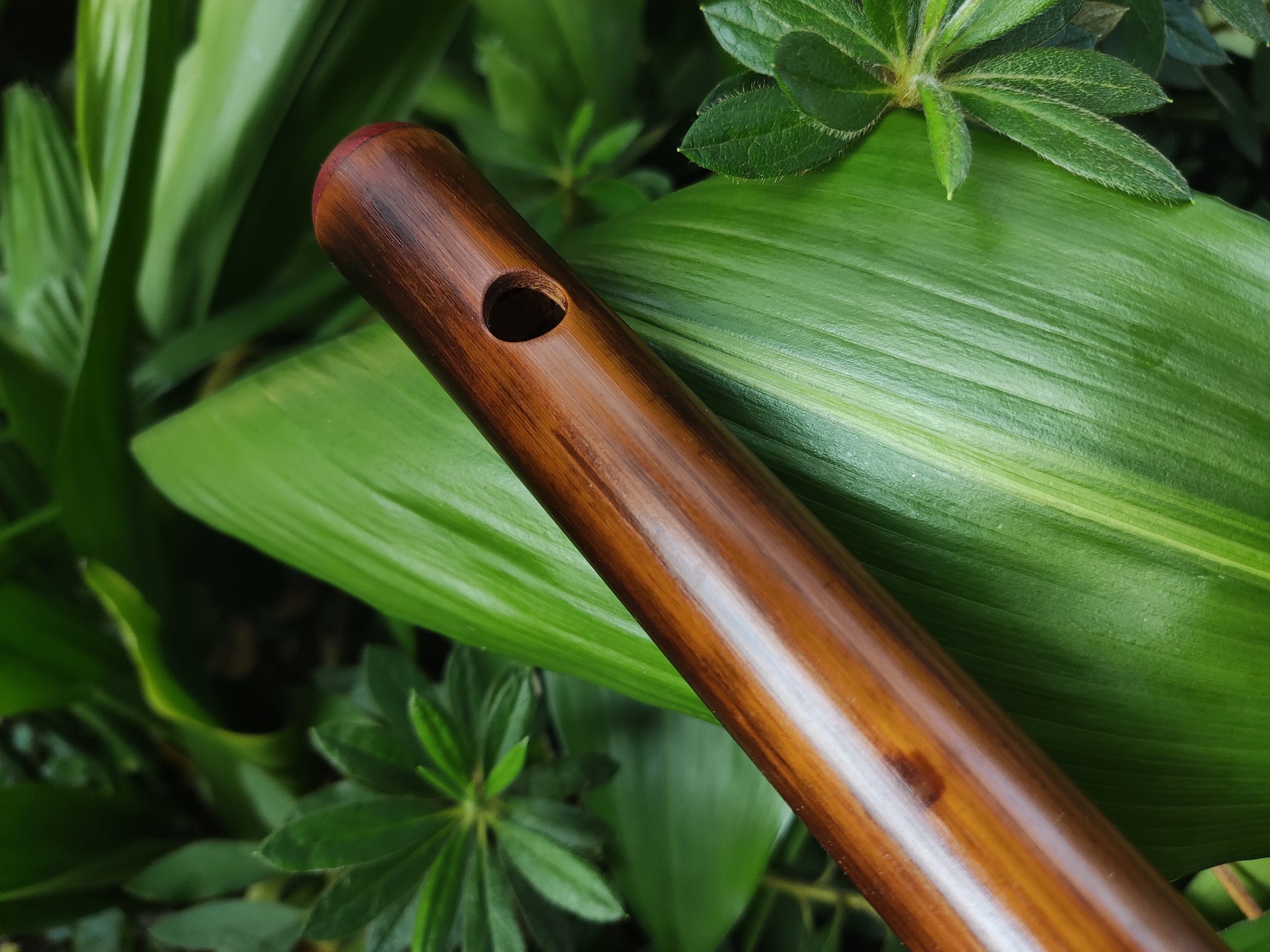 Flûte en bambou HAMELIN – TRANS LASER
