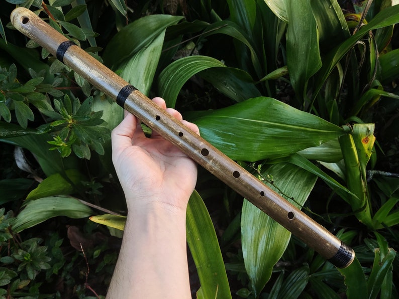 Aeolian Bamboo Flute: Natural Minor Scale, Intuitive Transverse Flute ...