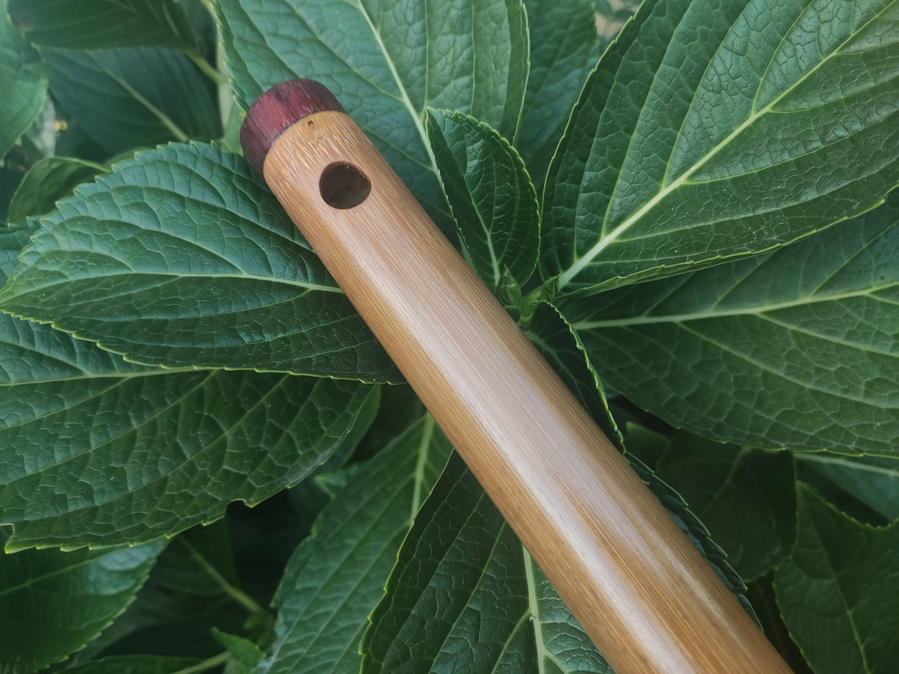 Irish transverse flute deals
