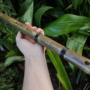 Aeolian Bamboo Flute: Natural Minor scale, Intuitive Transverse Flute, Handmade for Meditation and beginner friendly in Various keys