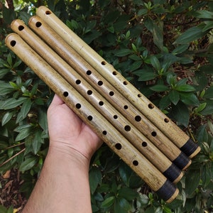 May include: Four bamboo flutes of varying lengths, with a natural brown and beige color, are held in a hand. The flutes have a series of finger holes and are capped with black rings at the bottom.