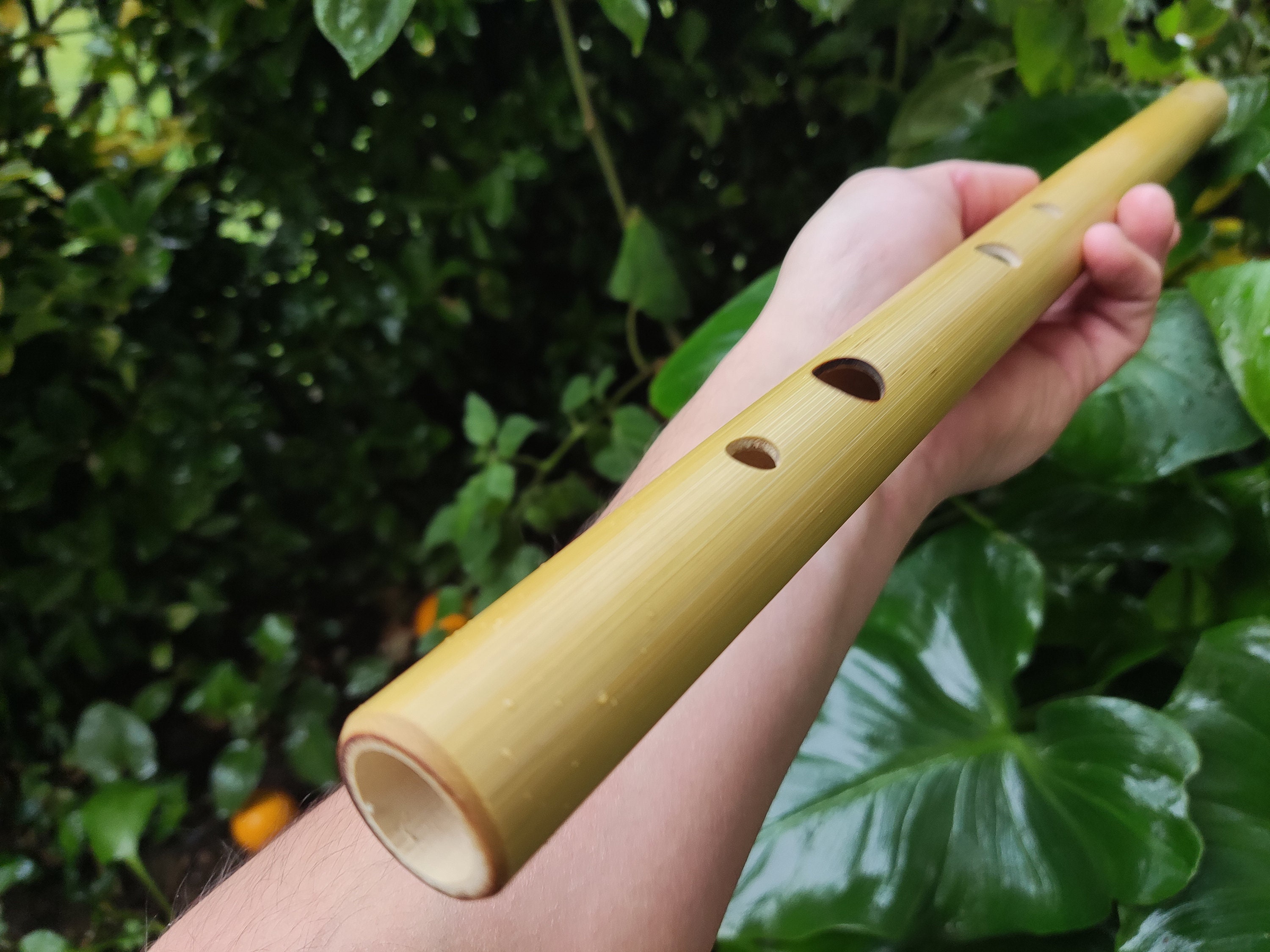 Colgar Mes harina flauta oriental nombre Elasticidad difícil Bastante