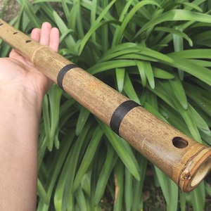 Exotic Meditative Minor Pentatonic Bamboo Flute inspired by the Oriental Zen Buddhist Culture | Deep meditation flute & Sound healing tool