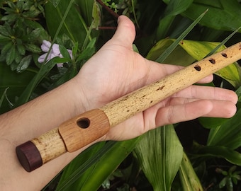 A Major Bamboo Flute with Lip Plate | Concert tuned Transverse flute with a vibrant sound at A440Hz | World Music Gift for musician | Gomes