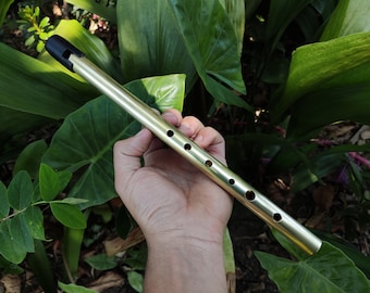 Gomes Whistle in D. Handmade Whistle. Penny whistle in D. Tin whistle. Irish whistle. Brass penny whistle. Celtic music. Irish flute