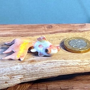 Telescope, Goggle Eys Fish Ornament