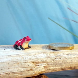 May include: A small ceramic frog ornament, red with white spots, black feet, and a yellow underbelly. It sits beside a gold coin on a piece of driftwood. The background is a light blue.