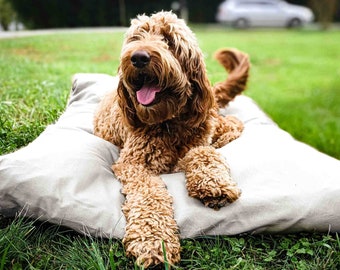 LARGE DOG BED 50"x38" | Feather-Top Soft Pet Bed With Cotton Canvas Cover | Wool Filled Insert | Machine Washable | Small Dog Bed Sizes