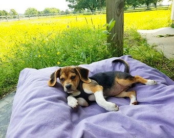 NESTING BED | Nest Style Bed | Unique Pet Bed With Cotton Canvas Cover | Wool Filled | Small and Medium Dog Bed Sizes Available