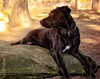 LARGE DOG BED 50"x38" | Unique Pet Bed With Waxed Canvas Cover | Wool Filled | Small Dog Bed Sizes Available Too!