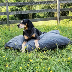 Op de afbeelding: Een zwart, bruin en grijs gespikkelde jachthond met hangende oren rust op een groot, rechthoekig, donkergrijs huisdierbed. De hond heeft een korte vacht, een zwarte neus en ligt met de voorpoten naar voren uitgestrekt op het kussenoppervlak.