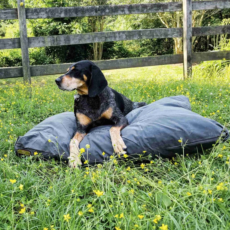 Op de afbeelding: Een zwart, bruin en grijs gespikkelde jachthond met hangende oren rust op een groot, rechthoekig, donkergrijs huisdierbed. De hond heeft een korte vacht, een zwarte neus en ligt met de voorpoten naar voren uitgestrekt op het kussenoppervlak.