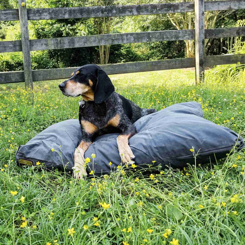 LARGE DOG BED 50x38 Feather-Top Soft Pet Bed With Waxed Canvas Cover Wool Filled Insert Small Dog Bed Size Available Too image 5