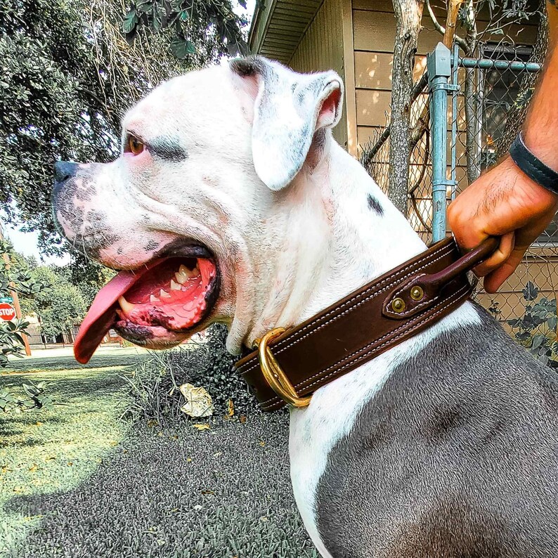 WIDE DOG COLLAR Tactical Leather Dog Collar for Large Dogs Thick