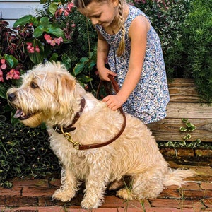 LEATHER DOG LEASH | 1” Wide Dog Lead | Classic Style Crafted with Premium Bridle Leather | Dog Traffic Leash Lengths Available