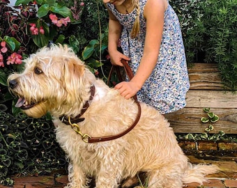 THE OAKLEY - Hand-Crafted Leather Leash | Dog Lead | Classic Style Crafted Premium Bridle Leather | Traffic Lengths Available