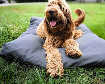 Cedar LARGE DOG BED Up to 50x40 | Deodorizing Pet Bed With Cotton Canvas Cover | Wool Fill Insert | Machine Washable | Small Dog Bed Sizes