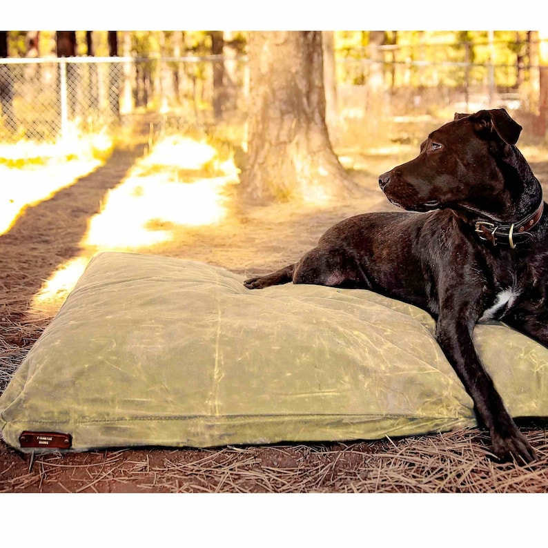 LARGE DOG BED 50x38 Feather-Top Soft Pet Bed With Waxed Canvas Cover Wool Filled Insert Small Dog Bed Size Available Too image 4
