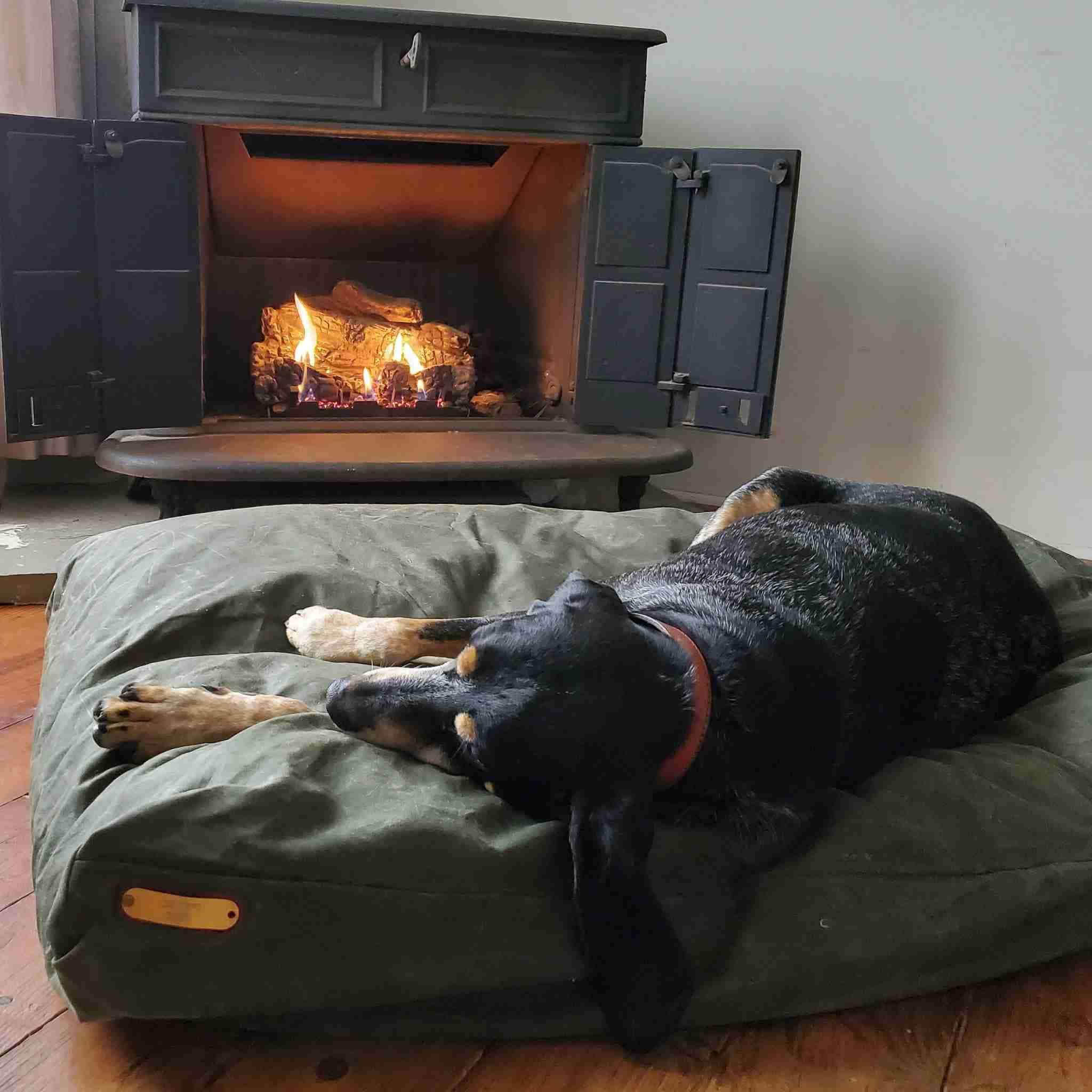 Cedar chip dog bed sales