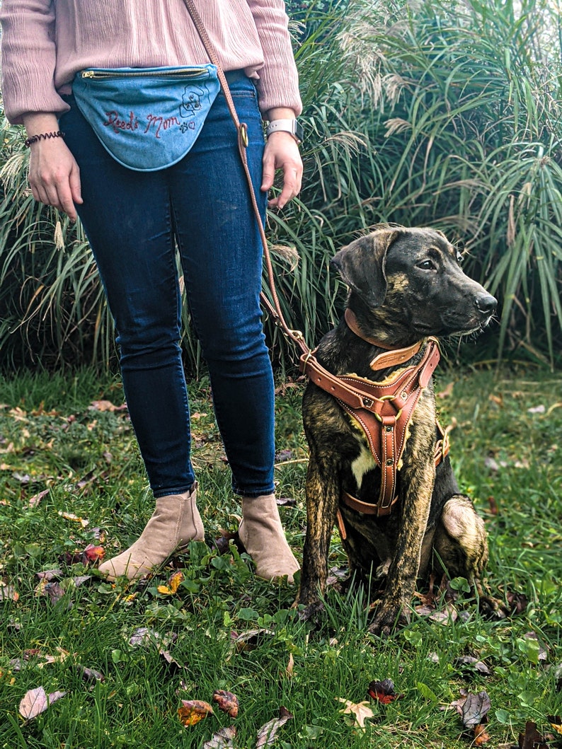 LEATHER DOG HARNESS Y Front Harness Sheepskin Lined Supple Etsy